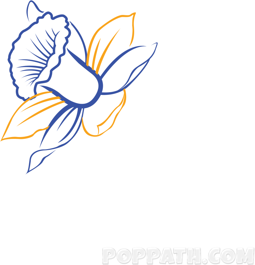Graphic Freeuse Library Daffodils Drawing Tulip - Drawing (1000x1000), Png Download