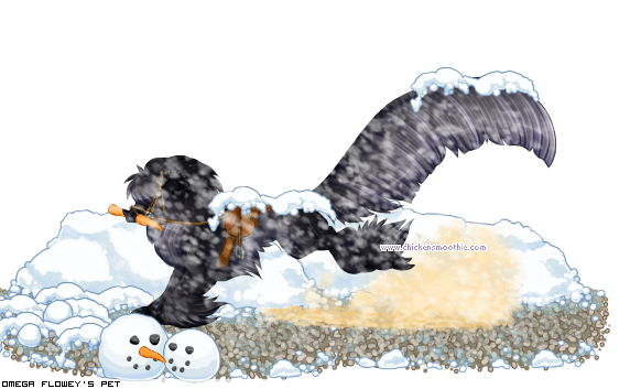 Dressed Pet - Chicken (572x353), Png Download