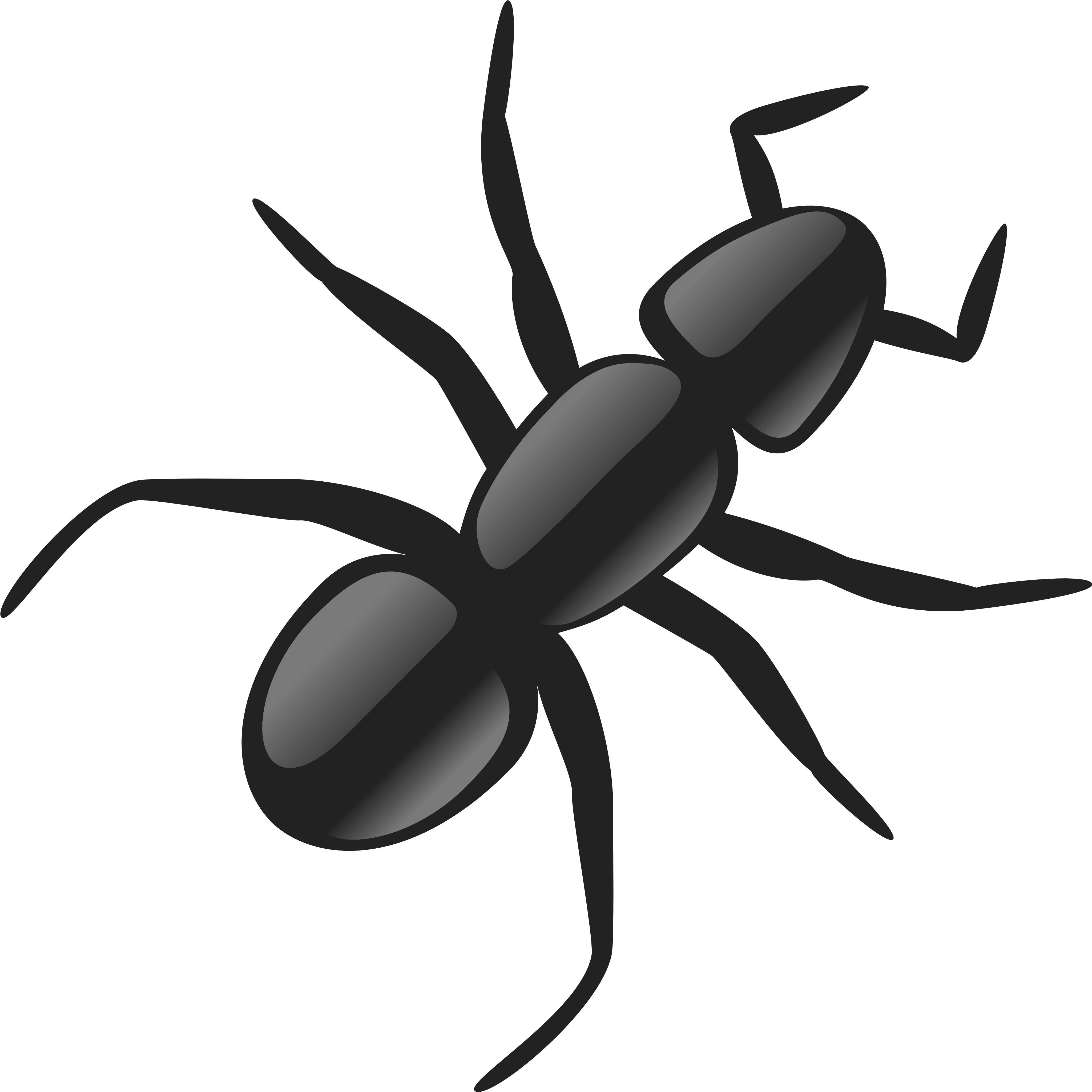 Free Png Ant Png Images Transparent - Ant Clip Art (480x481), Png Download