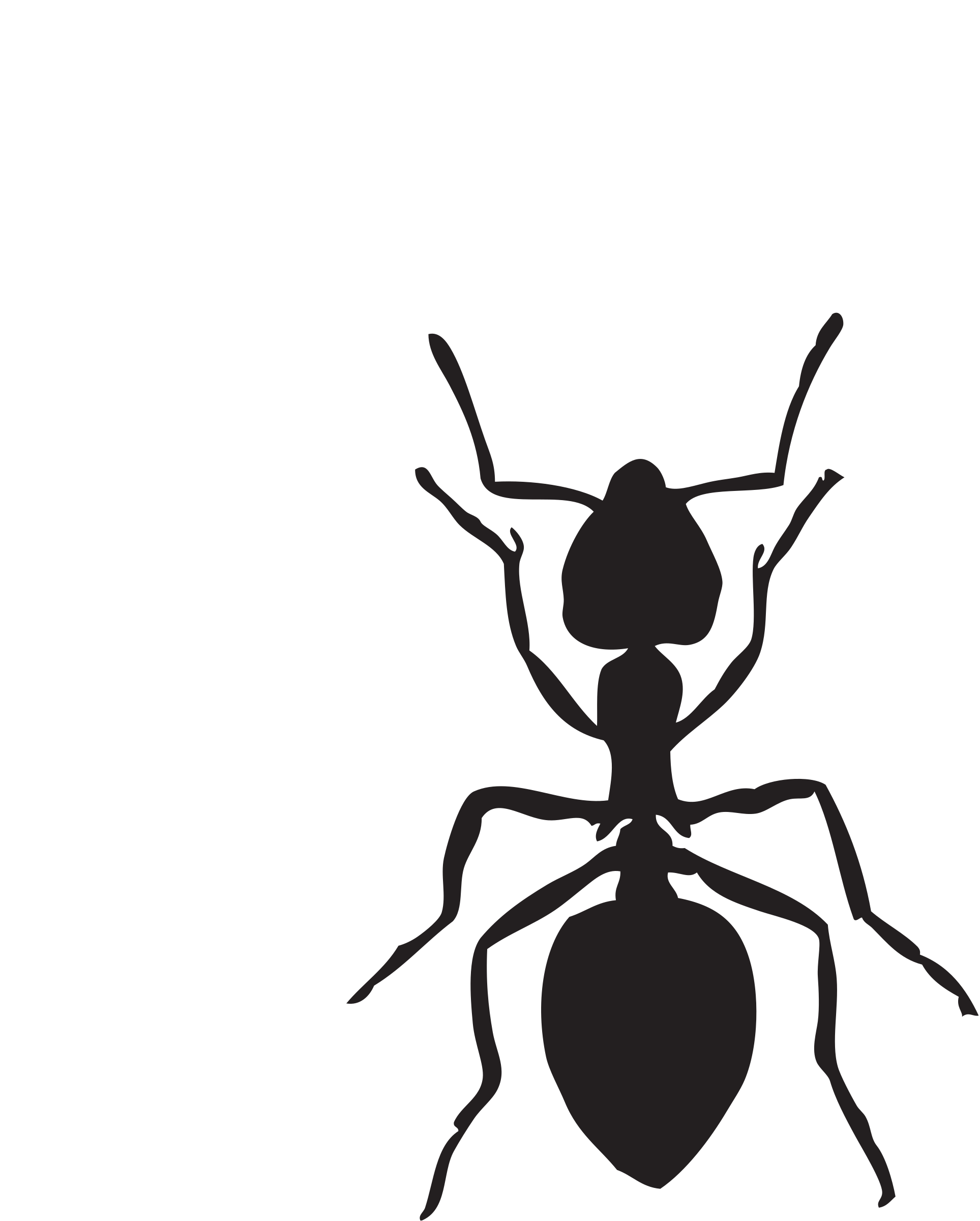 This Free Icons Png Design Of Acrobat Ant (1927x2400), Png Download