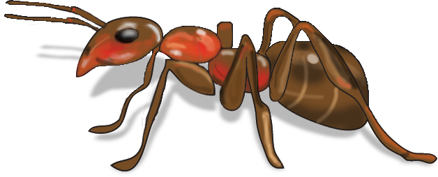 Ipad - Png Image Of Ant (628x254), Png Download