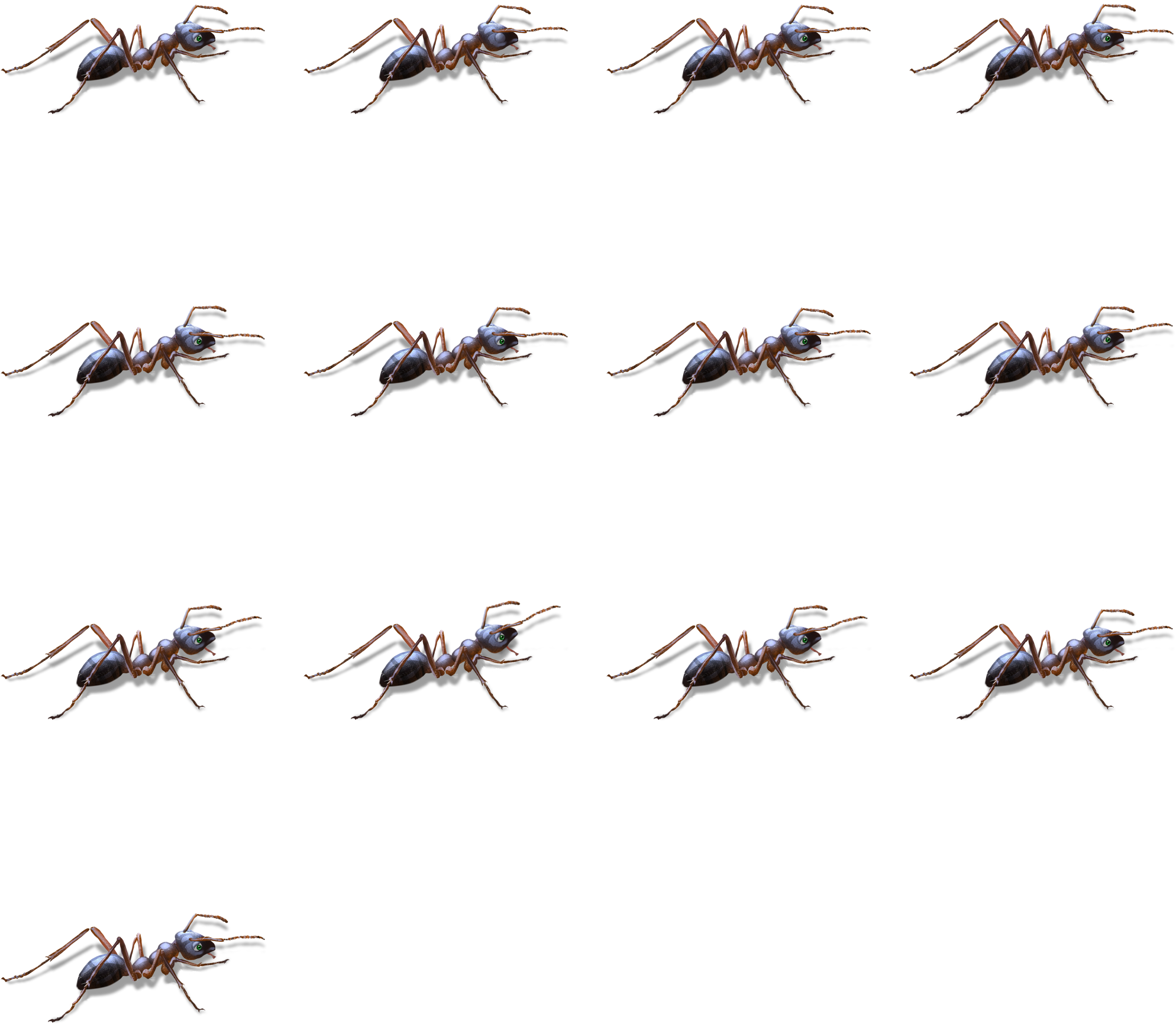 Ant - Flock (2048x2048), Png Download
