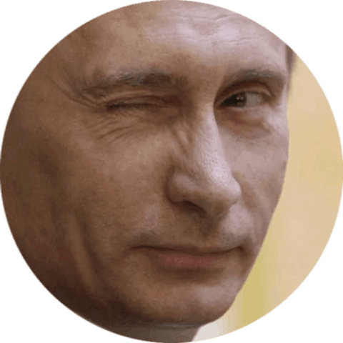 Free Png Vladimir Putin Png Images Transparent - Vladimir Putin Head Png (480x480), Png Download