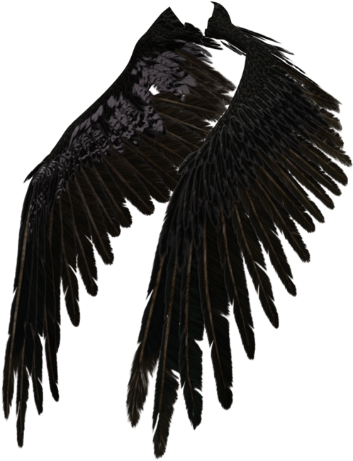Fallen Angel Wing Png - Dark Angel Wings Transparent (1024x673), Png Download