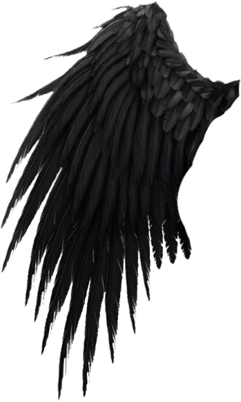Crow Wing Png Banner Download - Nasdaq:wing (434x618), Png Download