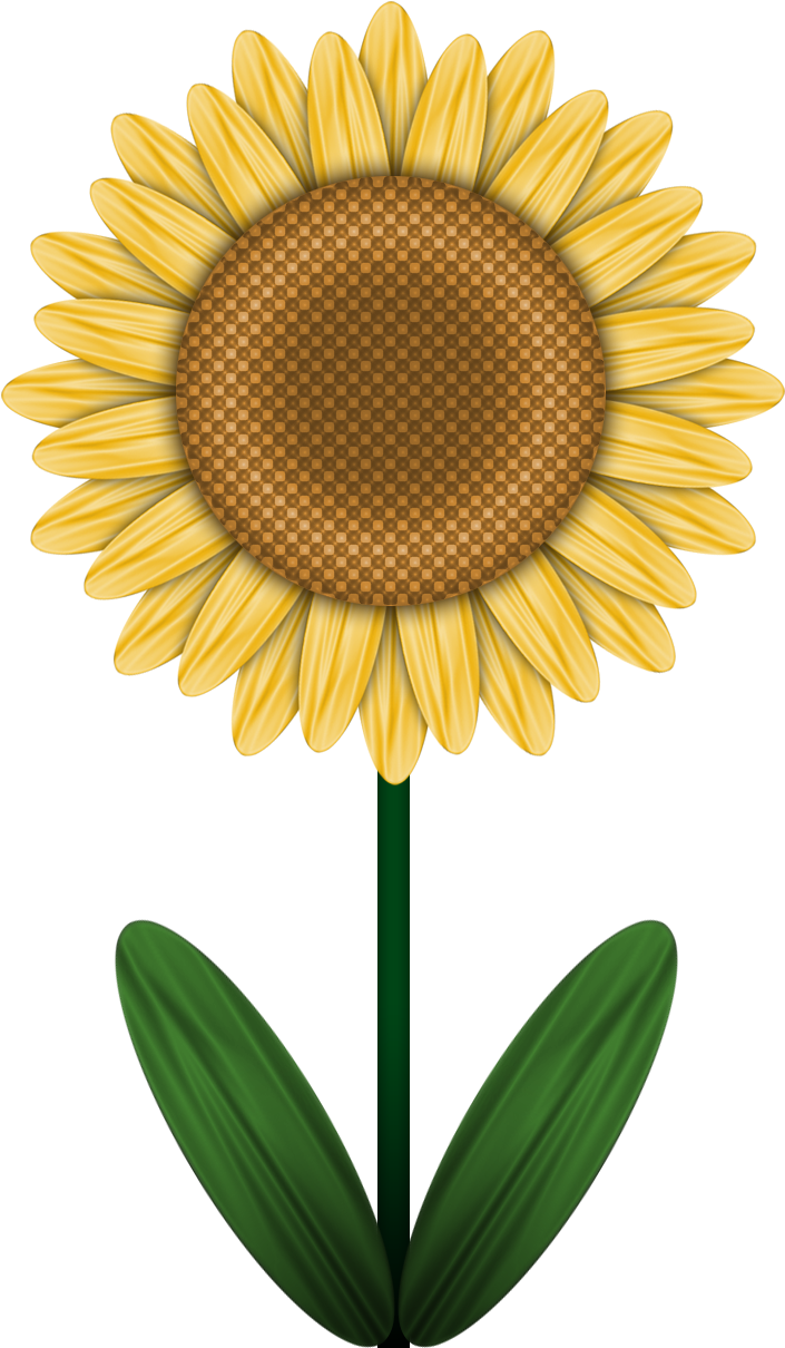 Vector Black And White Drawing Sunflower Marker - Chalktalksports Basketball Hook Personalized Basketball (734x1239), Png Download