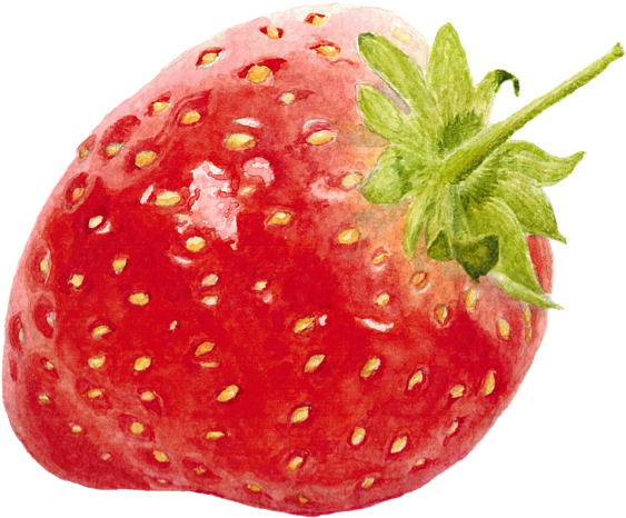 Bleed Area May Not Be Visible - Strawberry Watercolor (600x600), Png Download