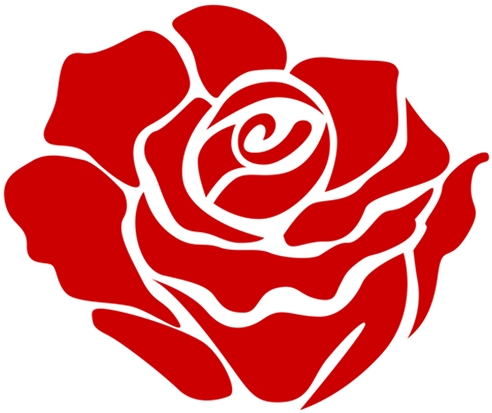 Rose Black And White (533x533), Png Download