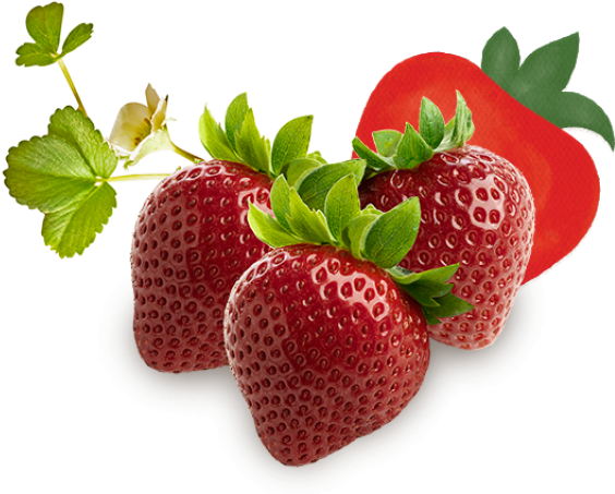 Blackberries, Enjoy All The Berries - สต อ เบอร์ รี่ Png (640x452), Png Download