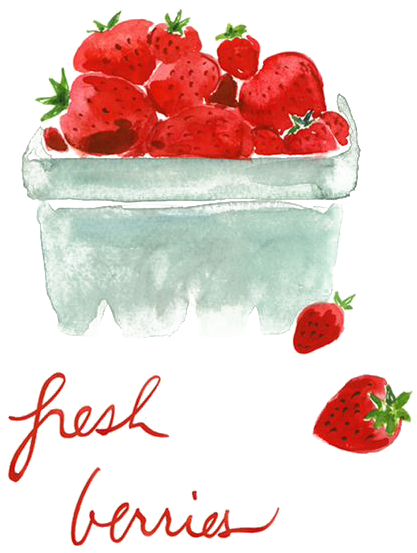 Strawberry Human Sexual Response Drawing Watercolor - Strawberry (564x1036), Png Download