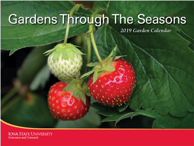 Hort - Strawberries Postcards (package Of 8) (400x514), Png Download