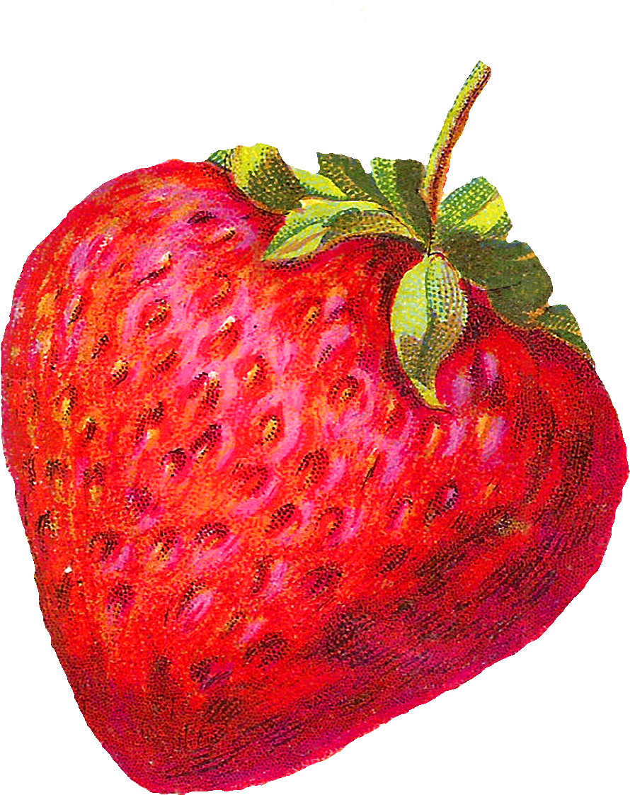 Png Royalty Free Stock Antique Images Strawberry Clip - Vintage Strawberry Clip Art (1200x1329), Png Download