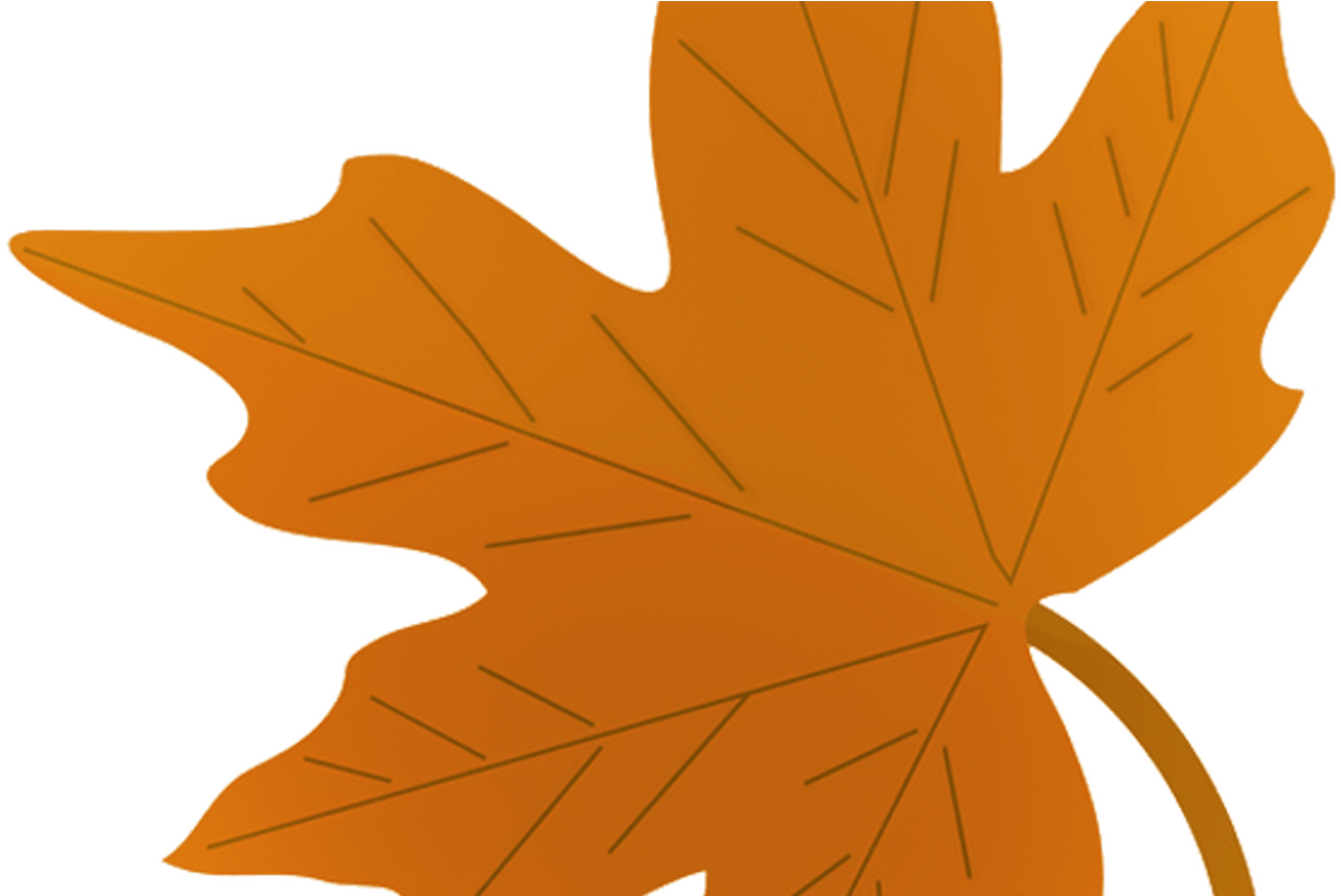 Clipart Fall Simple Fall - Orange Fall Leaves Drawing (1368x855), Png Download