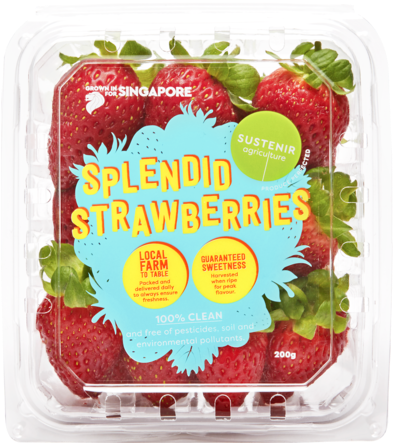 Product Listing Image - Sustenir Strawberries (604x448), Png Download