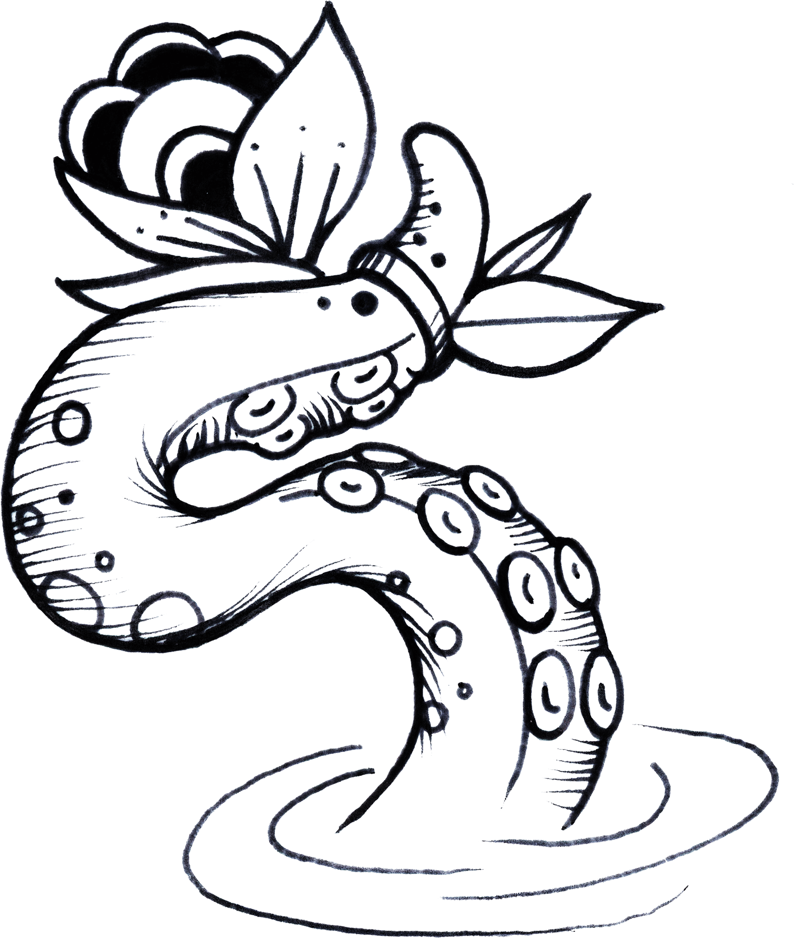Tentacle (2048x1973), Png Download