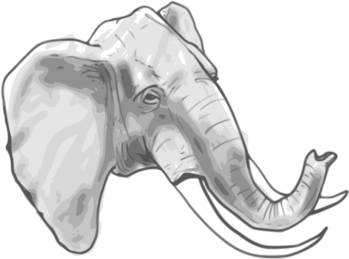 Clipart Resolution 800*700 - รูป ช้าง ลาย เส้น (800x700), Png Download