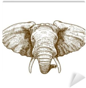 Vector Illustration Of Engraving Elephant Head Wall - Elephant Head (400x400), Png Download