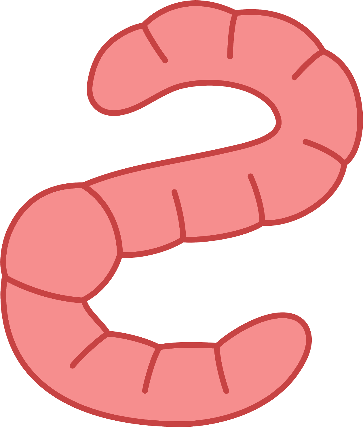 Worms Clipart Pink Worm ~ Frames ~ Illustrations ~ - Vector Worm Png (1600x1600), Png Download