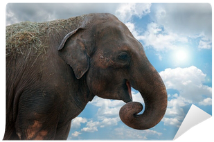 Stock Photography (400x400), Png Download