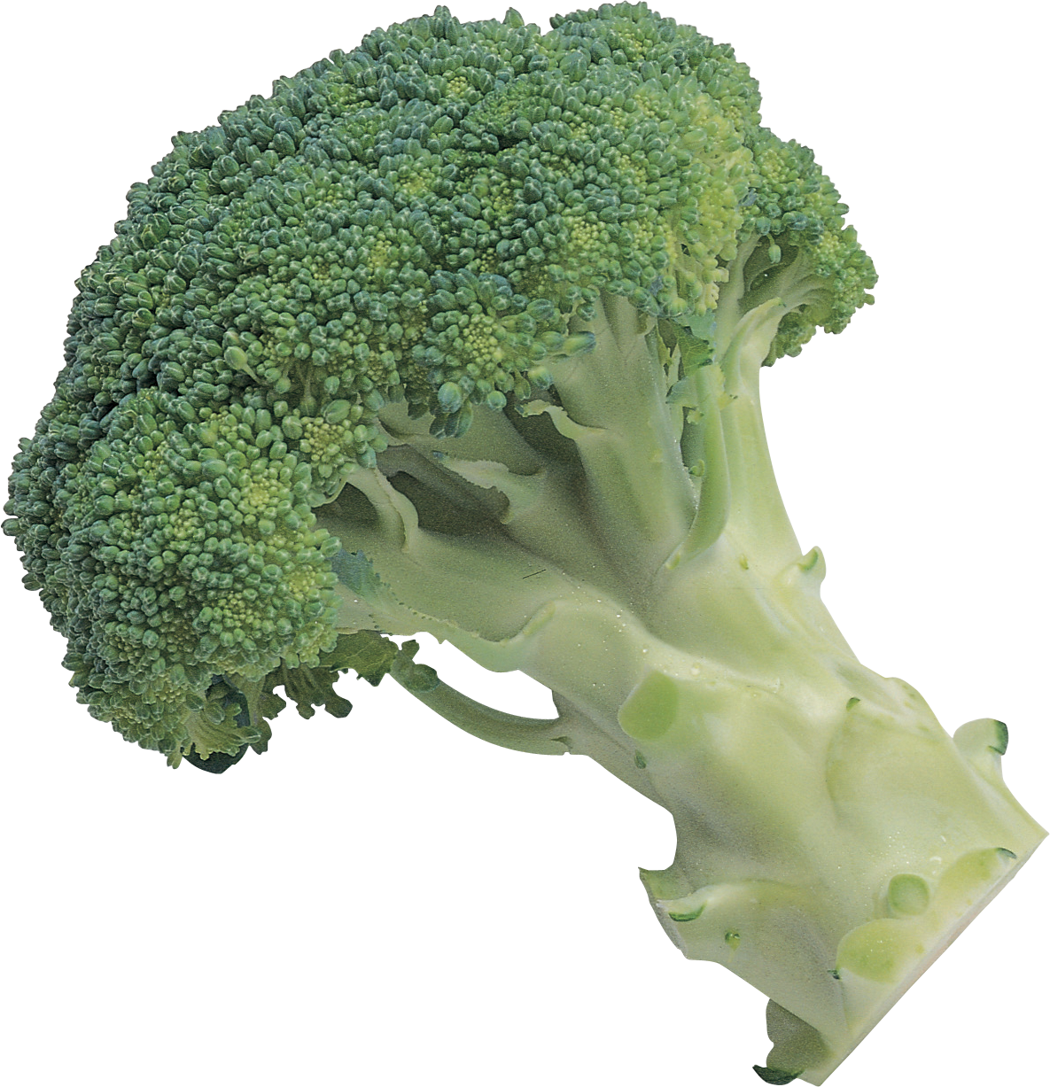 Broccoli Png Image - Broccoli Transparent Background (1185x1227), Png Download