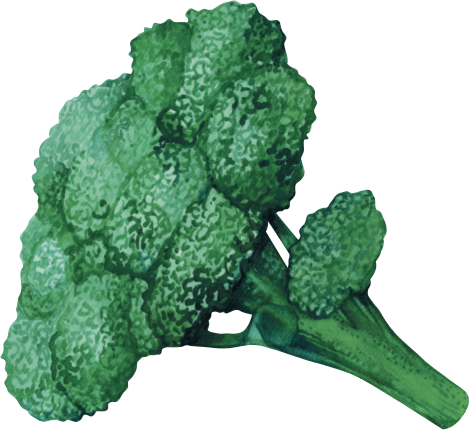 Broccoli - Learning (469x430), Png Download