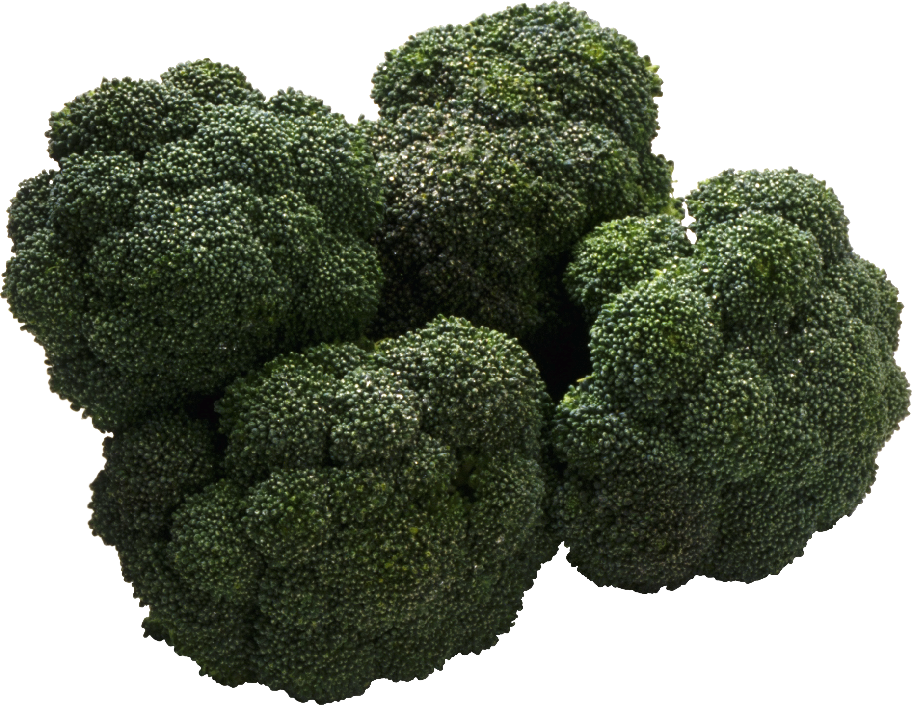 Broccoli Png Image - Food (1858x1438), Png Download