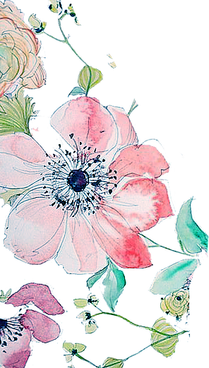 About Natalie - Obsessions 100% Polypropylene 120 Cm X 170 Cm Carpet (296x521), Png Download