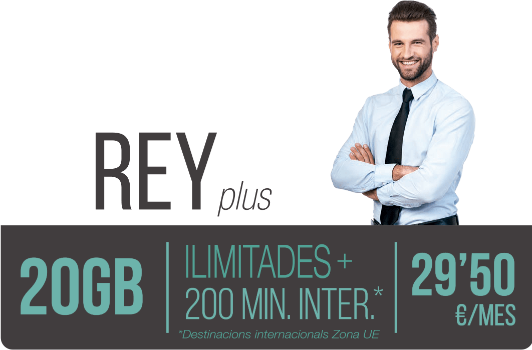 Tarifas Prediseñadas Rey - Horse (1087x752), Png Download