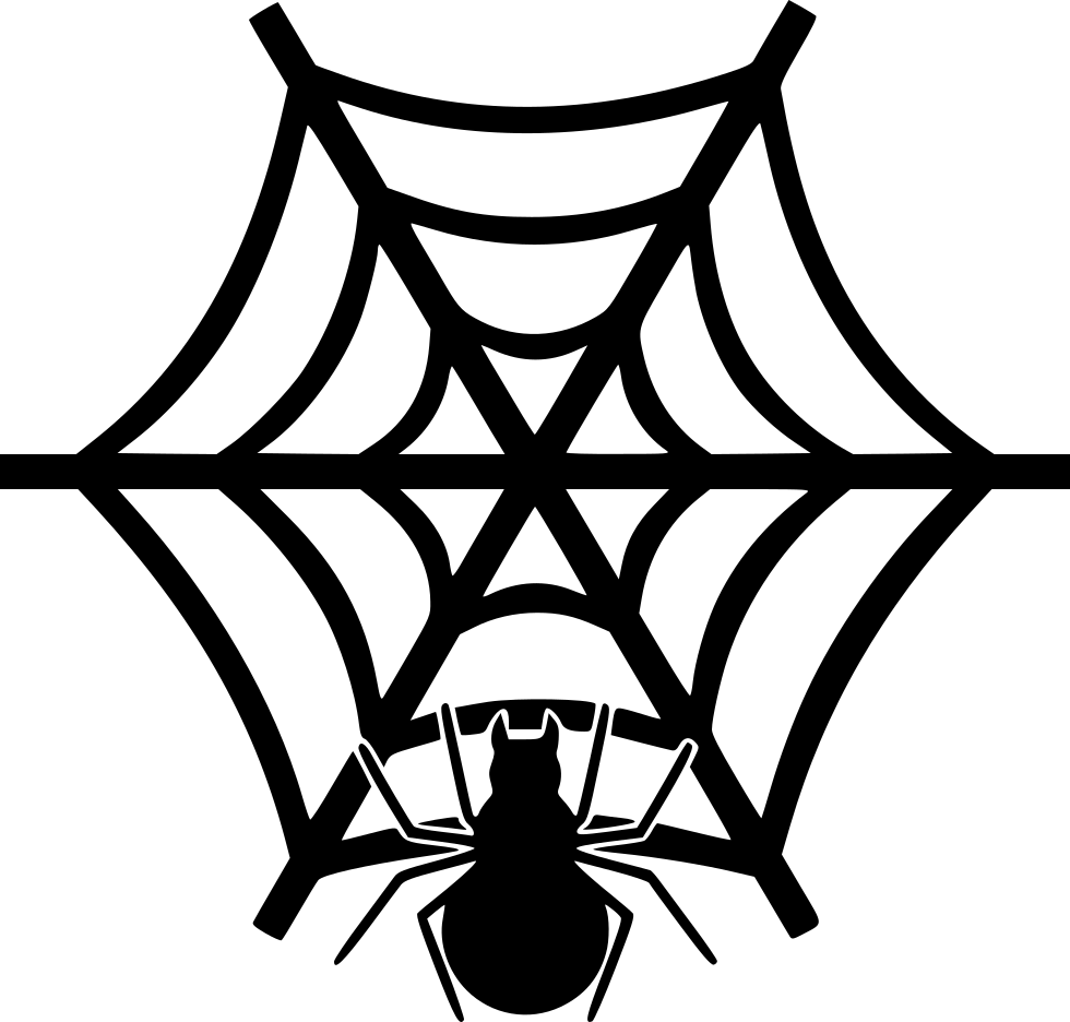 Download Bug Net Spider Halloween Insect Spider  Comments Spider