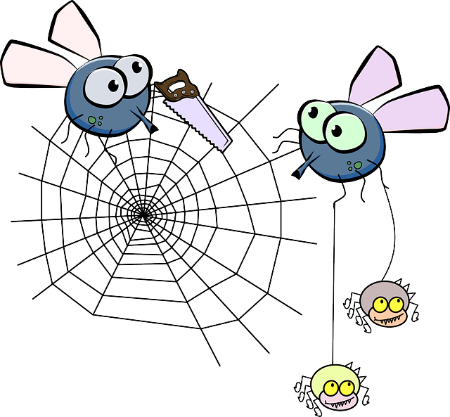 Flies, Mosquito, Spider, Insect, Spiderweb, Saw - Spider Web Clip Art (640x593), Png Download
