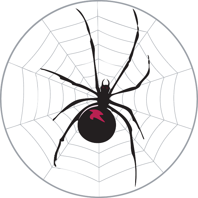 Black, Spider, Web, Widow, Legs, Arachnid - Spider In A Web Twin Duvet (640x640), Png Download