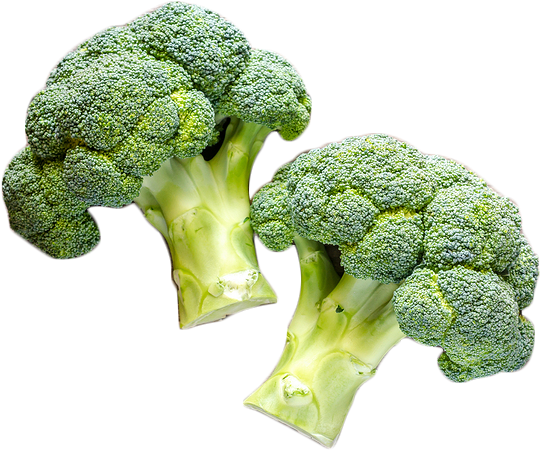 8 Delicious Vegetables For Fall Gardening - Sow Easy Broccoli De Cicco Seeds (569x479), Png Download