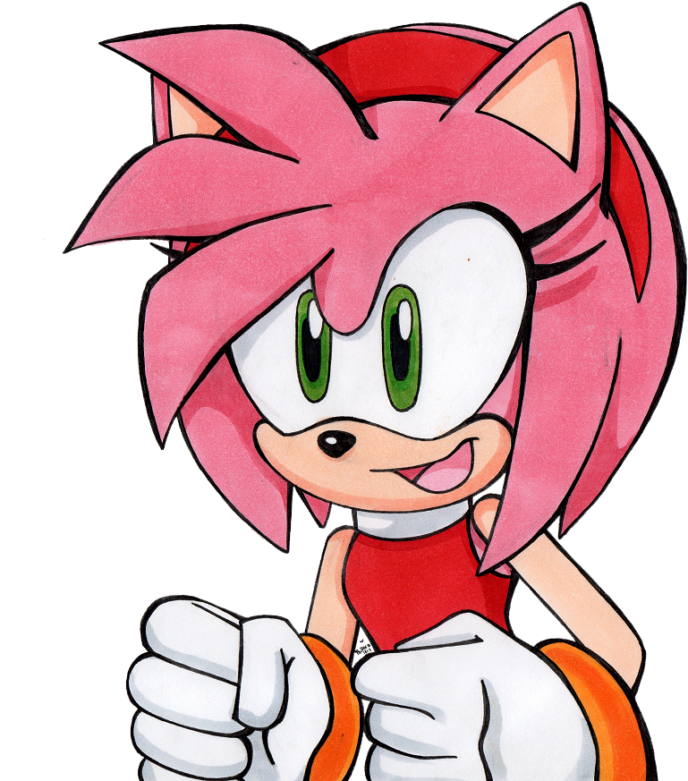 Amy Rose Bust By Littlemissscarlet On Deviantart South (852x889), Png Download