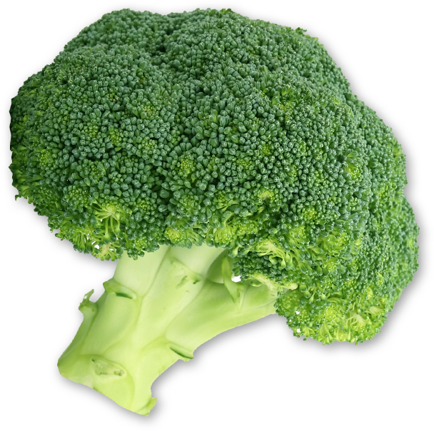 Broccoli (628x606), Png Download