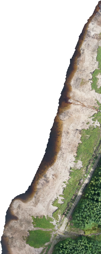 Kml Href, C00 - Sea Lettuce (1024x1024), Png Download