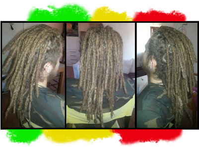 You Can Call Me At 358 466 352 658, Or Write An Email - Dreadlocks (400x303), Png Download