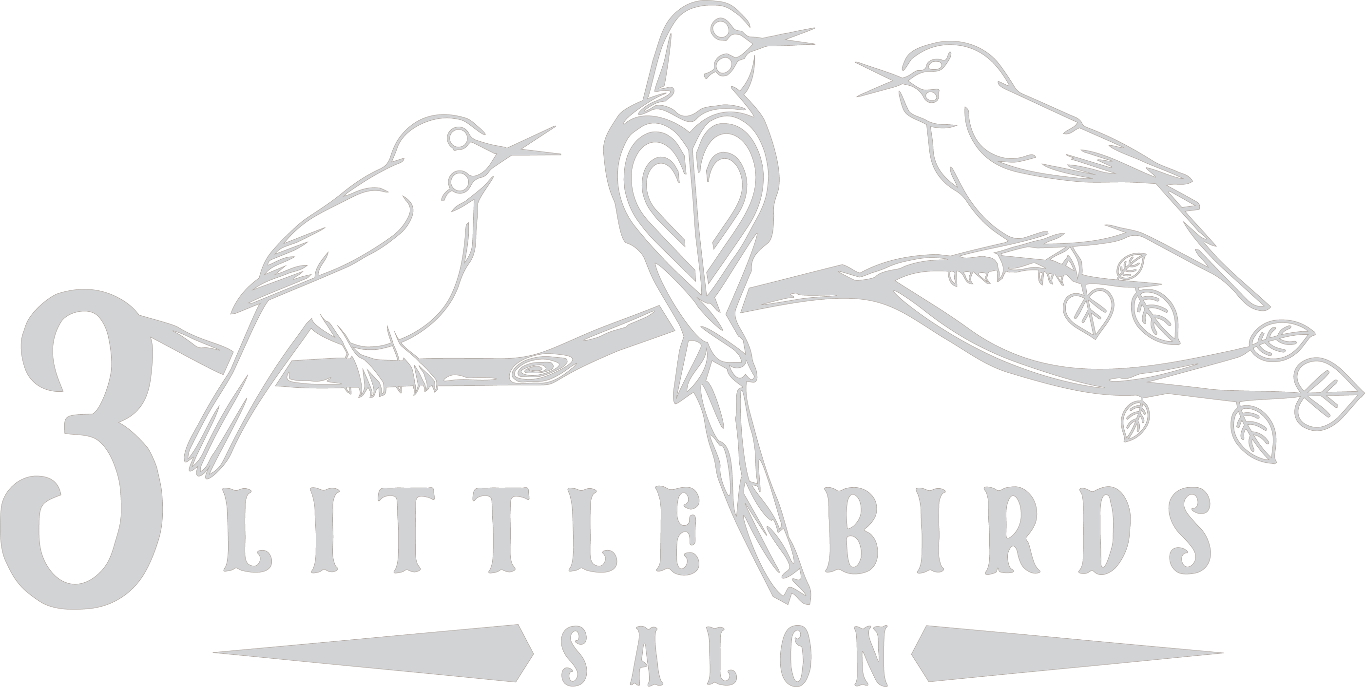 Logo - 3 Little Birds Salon (2801x1410), Png Download