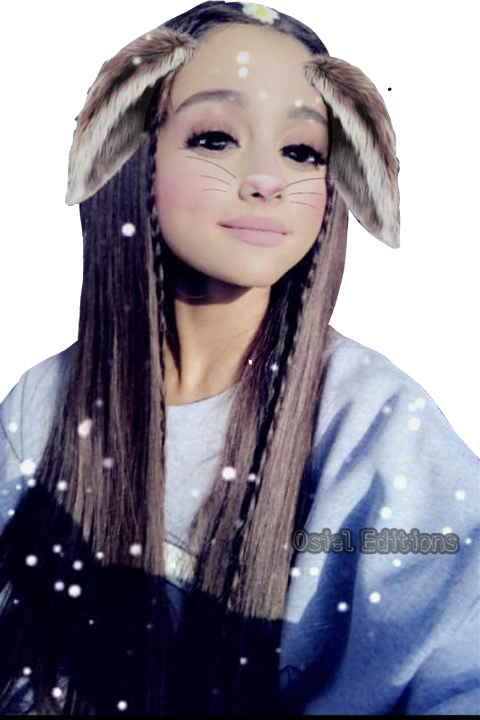 Ariana Grande Snapchat Cute (480x720), Png Download