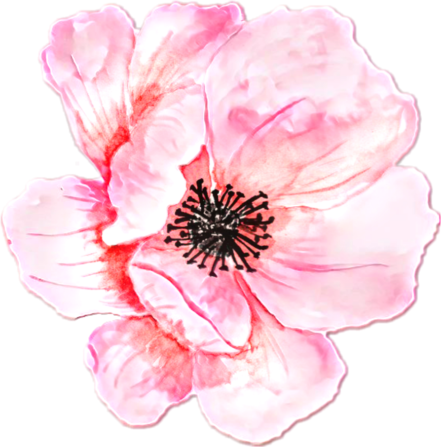 Fiore Watercolor Pink @roxxoblog - Clip Art (1024x1024), Png Download