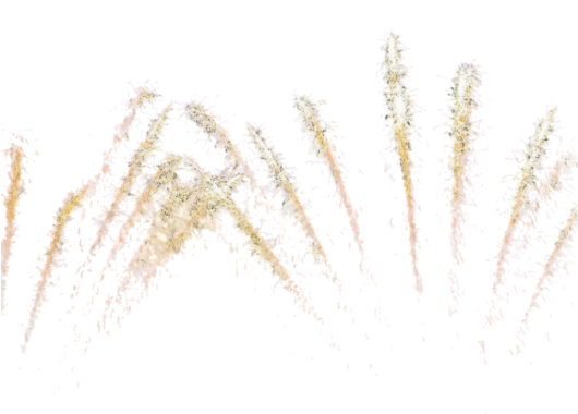 Fireworks Png - Sparkle Fireworks Png (550x400), Png Download
