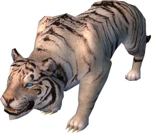 White Tiger - Siberian Tiger (505x446), Png Download