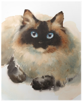 Watercolor Ragdoll Siamese Cat Pet Portrait Animal - Siamese Cat Watercolor (400x400), Png Download