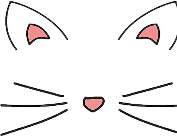 Download Report Abuse Transparents Cat Ears And Whiskers Full Size Png Image Pngkit
