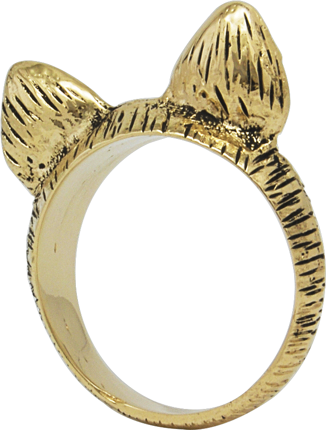 Cat Ears Ring - Cat (800x1000), Png Download