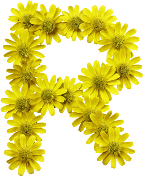 Yellow Flowers Font - Letters With Yellow Flower (595x595), Png Download