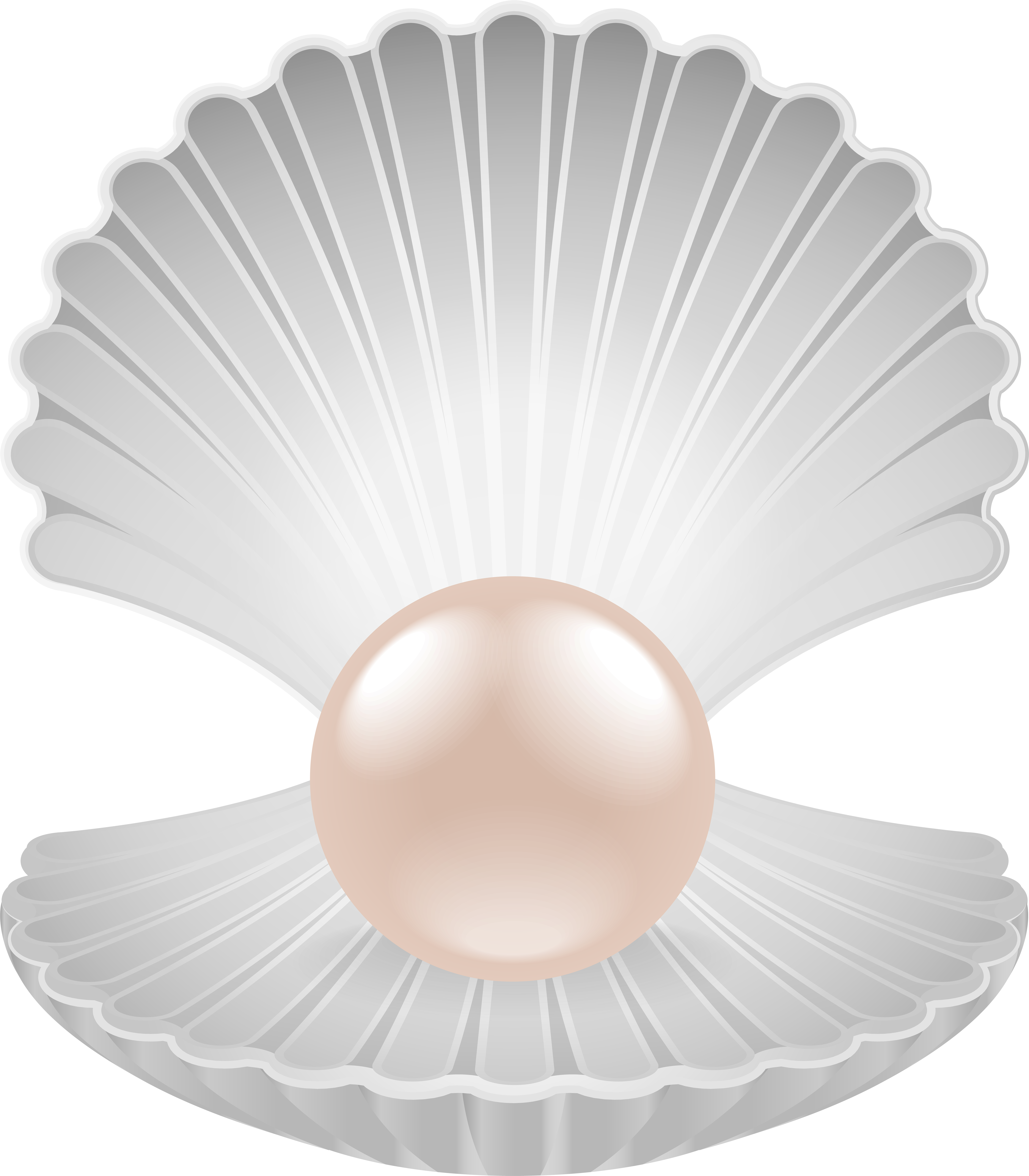 Pearl Png (7002x8000), Png Download