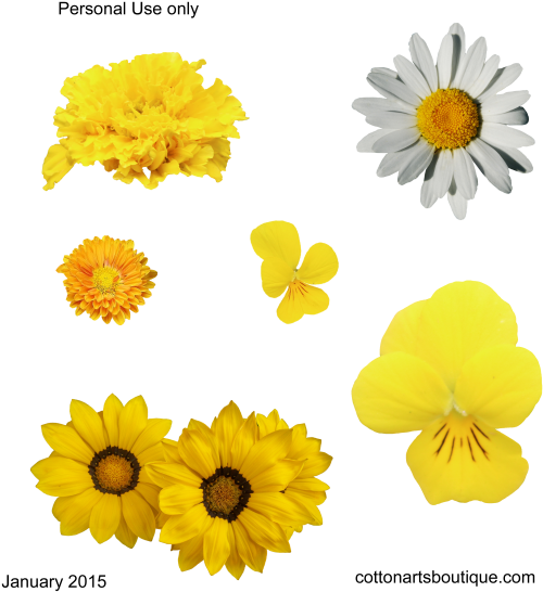 Yellow Flowers - Cotton (576x576), Png Download