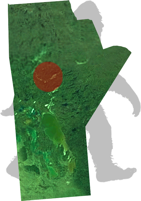 Manitoba-bigfoot - Illustration (500x762), Png Download