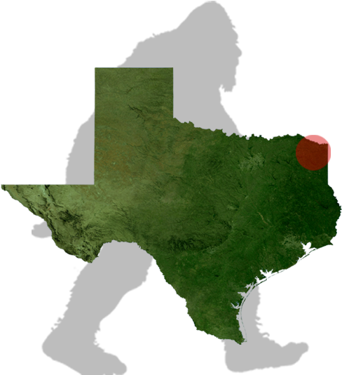 Texas Bigfoot Map - Texas Terrain Map (500x612), Png Download