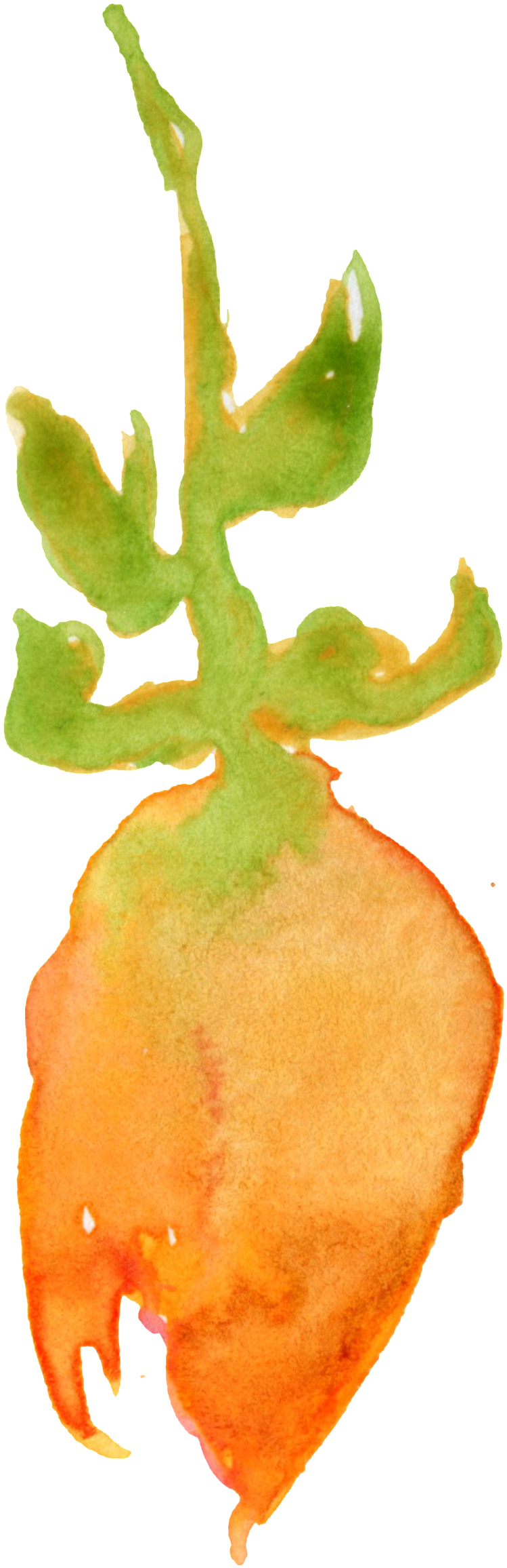 Crystal Orange Flower Transparent Decorative - Watercolor Paint (1024x2629), Png Download